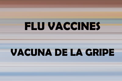 Vacunas contra la gripe